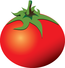 tomato1