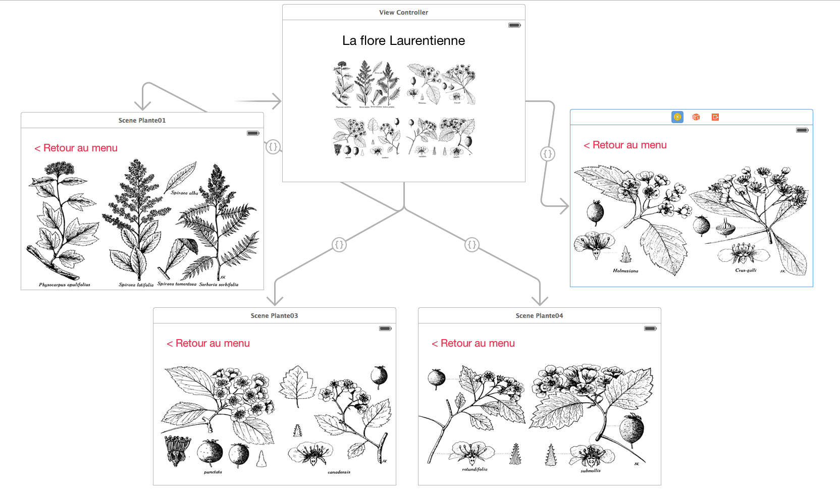 storyboard.par-prog.etape22