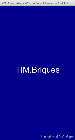 tim.briques.05